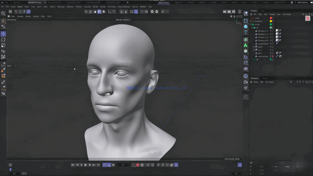 Cinema 4D肖像抽象动画制作训练视频教程(图1)