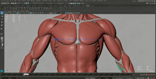 Ziva Dynamics角色肌肉模拟核心技术视频教程(图1)