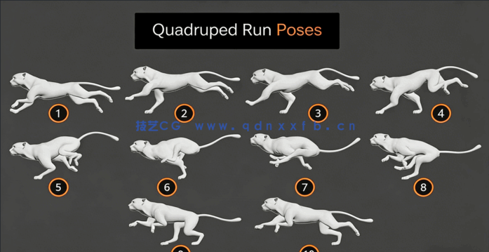 3dsMax四足动物动画高效技术制作视频教程(图1)