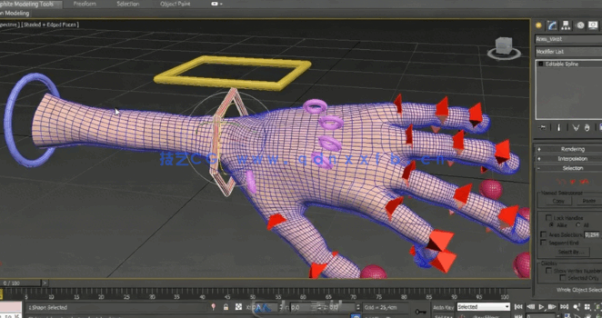 [3dsmax] 3dsmax手部骨骼关节控制动画技术训练视频教程(图4)