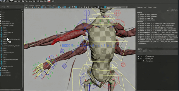 Maya中Ziva VFX人体骨骼组织模拟动画视频教程第二季 (图1)