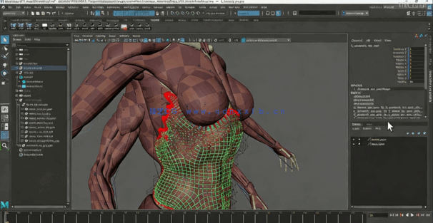 Maya中Ziva VFX人体骨骼组织模拟动画视频教程第二季 (图3)