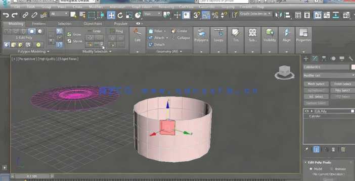 [3dsmax] 3dsmax建模工具基础训练视频教程(图4)