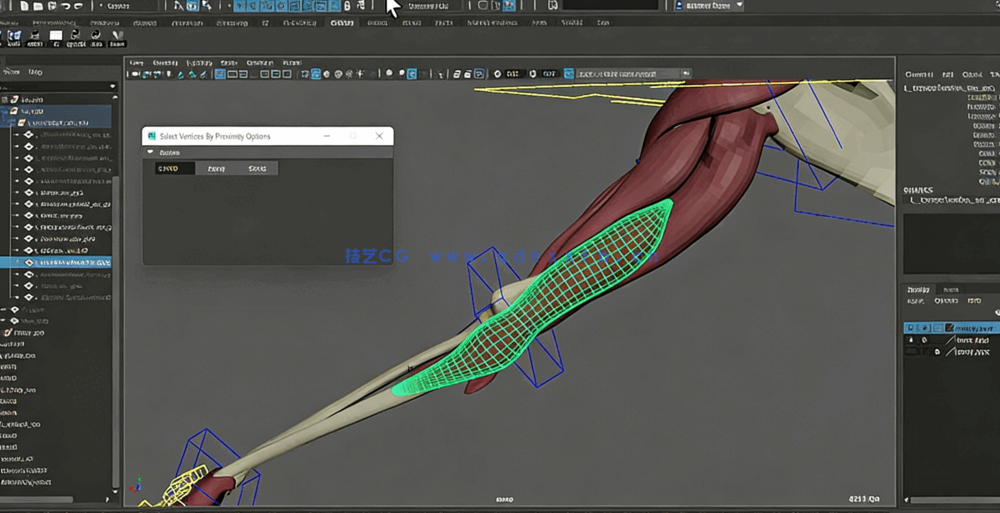 Maya中Ziva VFX人体骨骼组织模拟动画视频教程第一季(图1)