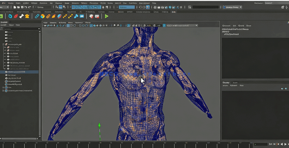 Maya中Ziva VFX人体骨骼组织模拟动画视频教程第一季(图5)