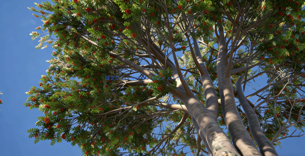 Maya与Unreal虚幻引擎制作树木植物视频教程(图2)