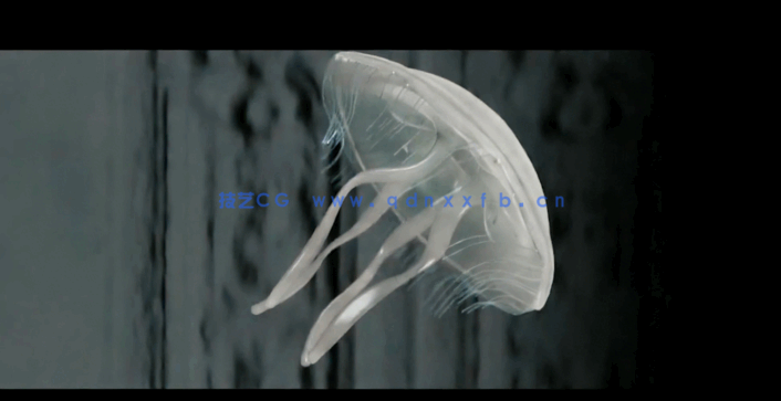  Cinema 4D影视级角色骨骼动画大师班视频教程 (图2)