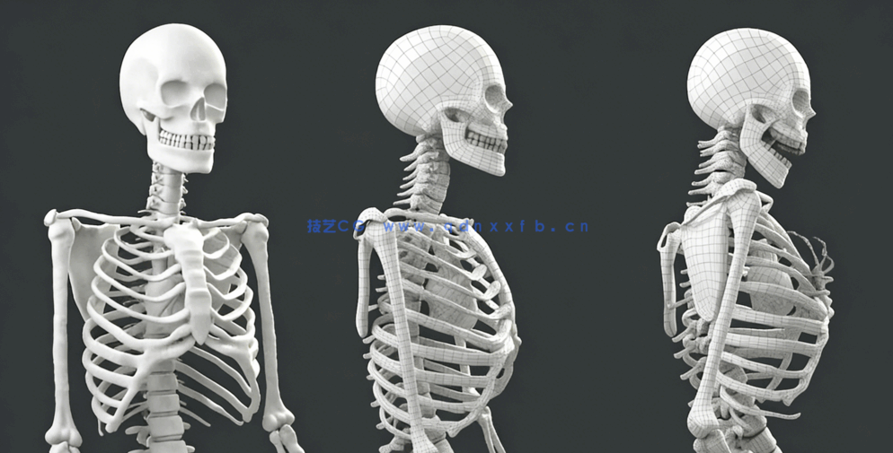 Maya人物角色建模概念设计技术视频课程(图1) Maya人物角色建模概念设计技术视频课程(图1)