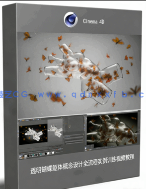 透明蝴蝶躯体概念设计全流程实例训练视频教程(图1) 透明蝴蝶躯体概念设计全流程实例训练视频教程(图1)