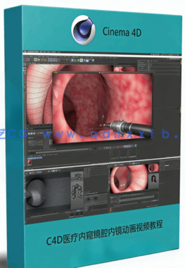 C4D医疗内窥镜腔内镜动画视频教程(图1)