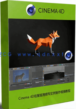 Cinema 4D低聚狐狸模型实例制作视频教程(图1)