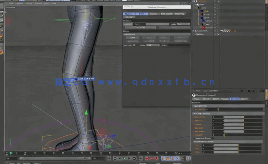 Cinema 4D角色重量变形工具使用技术视频教程(图4)