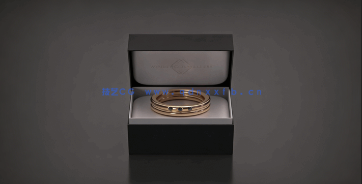 C4D商业戒指首饰可视化实例制作视频教程(图3)