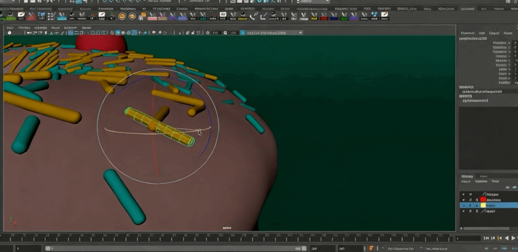 Maya2022初学者基础入门训练视频教程第二季(图8)