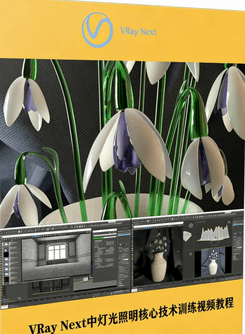 VRay Next中灯光照明核心技术训练视频教程[(图1)