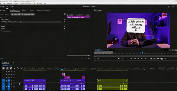 [Premiere Pro] 【中文字幕】Adobe Premiere Pro视频编辑零基础到进阶实战(图2)