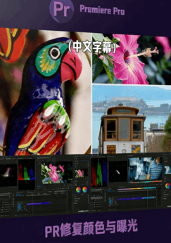 [Premiere Pro] 【中文字幕】PR修复视频颜色和曝光技术视频教程(图1)