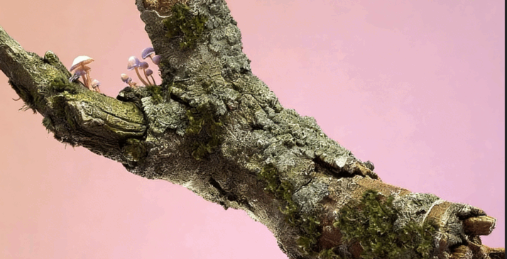 Houdini与Redshift软体循环特效动画技术视频教程 (图4)