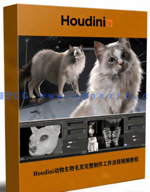 Houdini动物生物毛发完整制作工作流程视频教程 (图1)