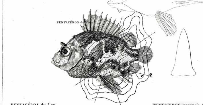 Photoshop打造极简风格复古数码拼贴画视频教程(图1)