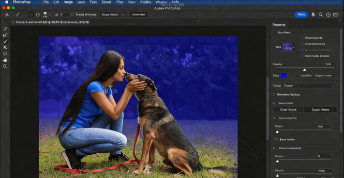 【中文字幕】Photoshop与Lightroom遮罩技术基础入门训练视频教程(图5)
