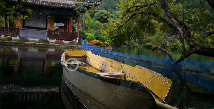 Adobe Photoshop创意流程与AI功能技术视频教程(图6)