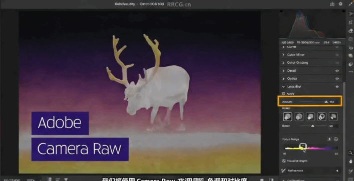 【中文字幕】Photoshop 2025全面核心技术训练视频教程(图2)