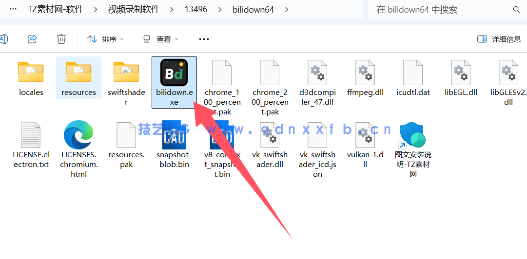 Bilidown 视频下载工具-免安装版(图1)