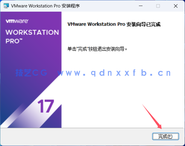 VMware Workstation Pro v17.6.1 虚拟机(图8)