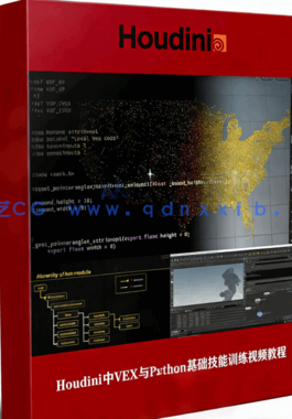Houdini中VEX与Python基础技能训练视频教程 (图1)