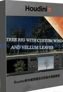 Houdini树木植物模拟实例制作视频教程(图1)