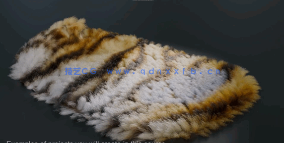 Blender高精度逼真毛发系统实例制作训练视频教程(图3)