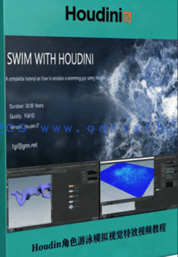Houdin角色游泳模拟视觉特效视频教程 (图1)