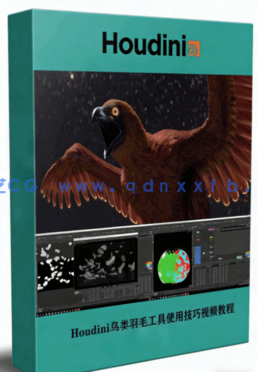 Houdini鸟类羽毛工具使用技巧视频教程（附工具）(图1)