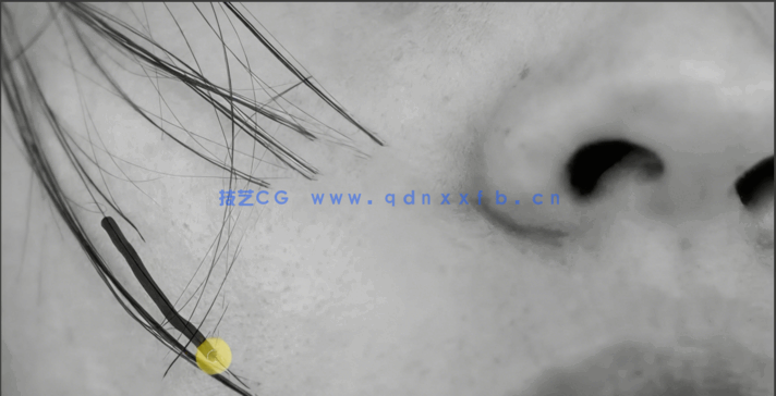 【中文字幕】PS图像修饰技术基础技能训练视频教程(图2)