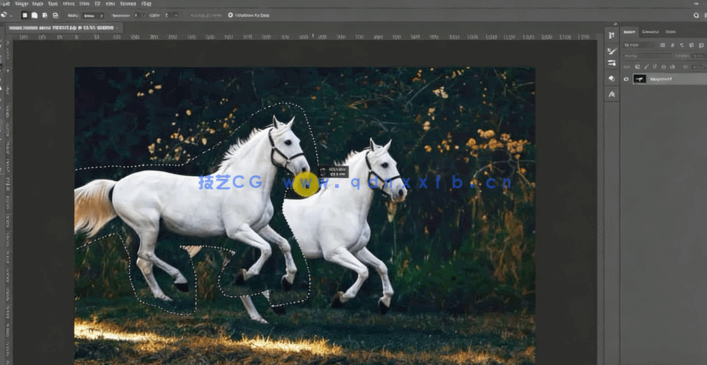 【中文字幕】PS图像修饰技术基础技能训练视频教程(图3)