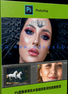 【中文字幕】PS图像修饰技术基础技能训练视频教程(图5)