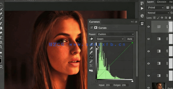 PS人物图像调色滤镜视频教程(图2)
