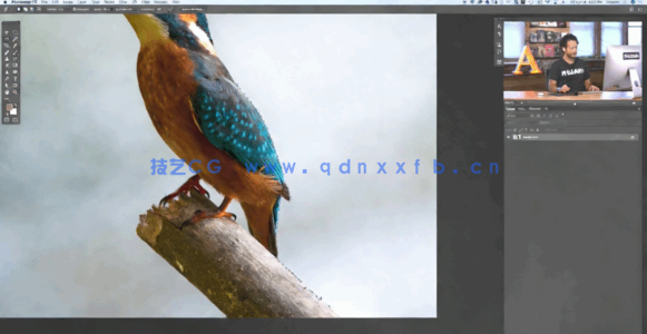 PS中使用磁性套索工具选取图像过程视频教程(图5)