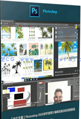 【中文字幕】Photoshop 2020初学者照片编辑技能训练视频教程(图6)