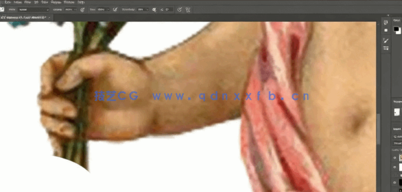 PS初学者衬衫T恤卡通角色图案设计视频教程(图1)