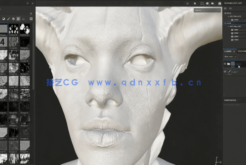 Substance Painter角色脸部纹理贴图制作大师级视频教程(图6)