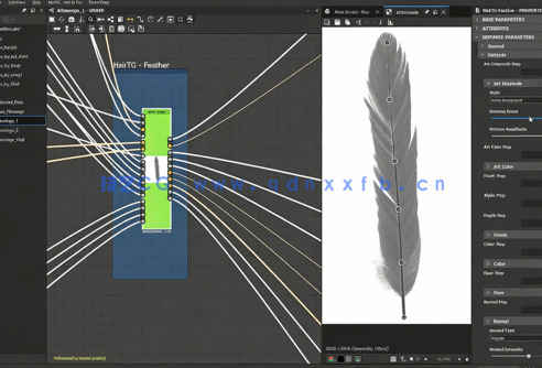 Substance Designer逼真羽毛PBR纹理实例制作视频教程(图6)