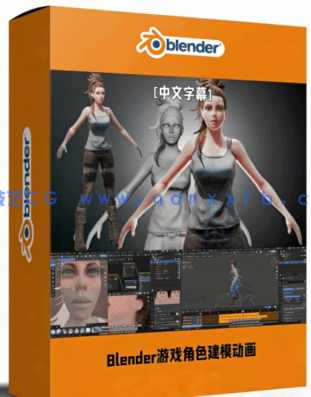Blender游戏角色建模与动画制作大师级视频教程(图1)