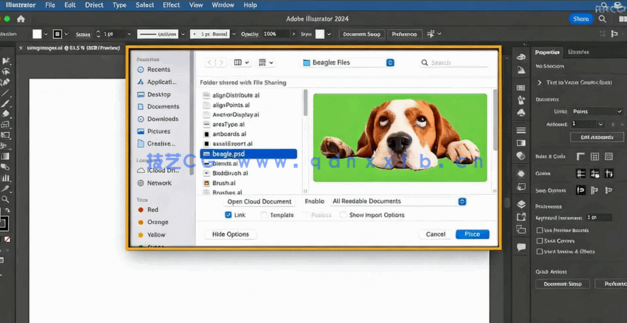 【中文字幕】Illustrator CC 2024核心技术训练视频教程(图2)