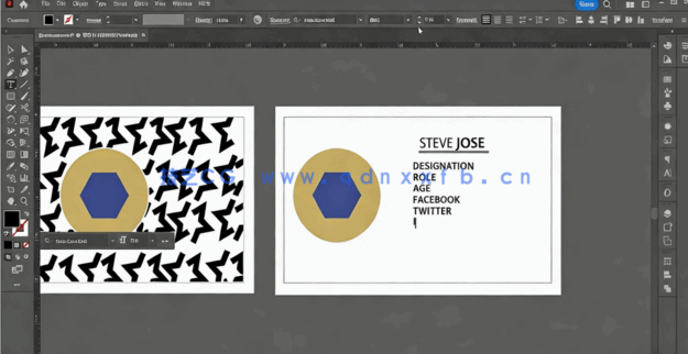  Adobe Illustrator打造你的作品集视频教程(图2)