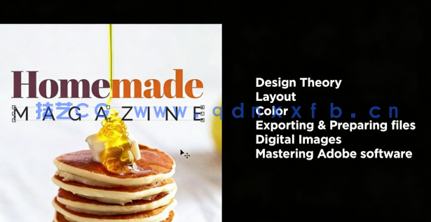 【中文字幕】平面设计在实际项目中的应用大师级视频教程 (图4)