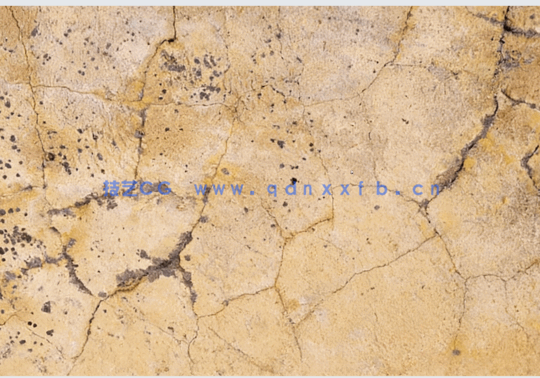 Substance Designer有孔石膏墙壁材质制作训练视频教程(图6)