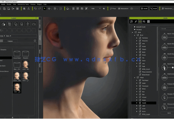 Substance Painter生物原型角色制作视频教程(图2)