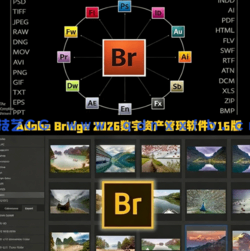 Adobe Bridge 2026数字资产管理与创意工作流枢纽软件V16.0.2版(图1)